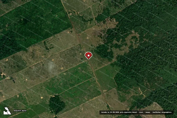 Imagem de satélite de Infração Ambiental em Apuí - AM (marcador da localização)