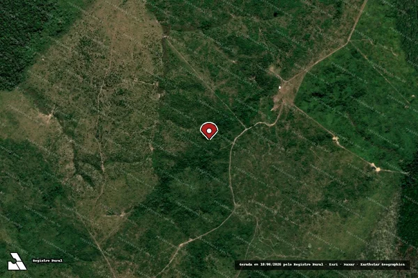 Imagem de satélite — Embargo IBAMA — Infração da Flora - Manaus/AM