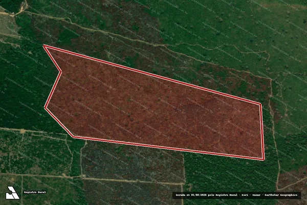 Imagem de satélite — Embargo IBAMA — Infração da Flora — Lábrea/AM