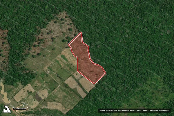 Imagem de satélite — Embargo IBAMA — Infração da Flora — Careiro/AM
