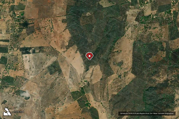 Imagem de satélite de Infração da Flora em Palmeira dos Índios - AL (marcador da localização)