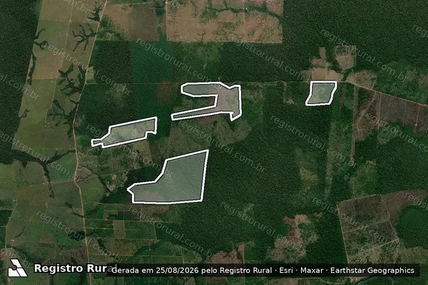 Imagem de satélite de Infração da Flora em Colniza - MT