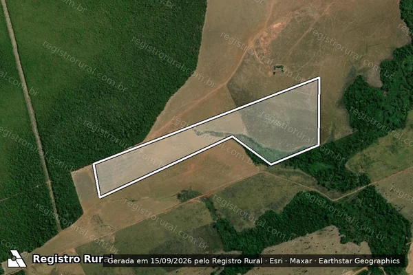 Imagem de satélite — Embargo IBAMA — Infração Ambiental - Altamira/PA