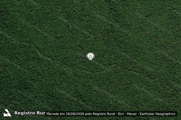 Imagem de satélite de Infração Ambiental em Senador José Porfírio - PA (marcador da localização)