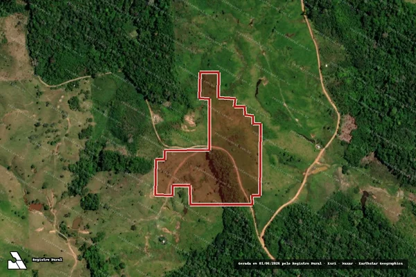 Imagem de satélite de Desmatamento em Tarauacá - AC