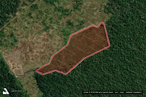 Imagem de satélite de Infração da Flora em Humaitá - AM
