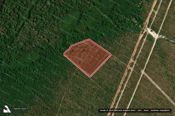 Imagem de satélite de Infração da Flora em Aruanã - GO