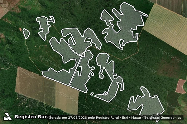 Imagem de satélite de Infração da Flora em Rondon do Pará - PA