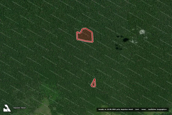 Imagem de satélite de Infração da Flora em Prainha - PA