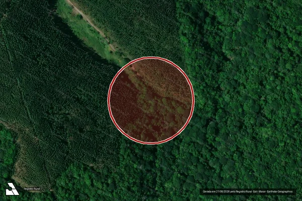 Imagem de satélite de Infração Ambiental em Maragogi - AL
