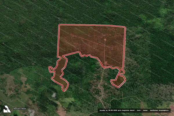 Imagem de satélite de Infração da Flora em São Félix do Xingu - PA