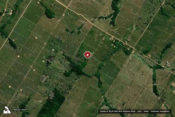 Imagem de satélite de Infração da Flora em Porto Velho - RO (marcador da localização)