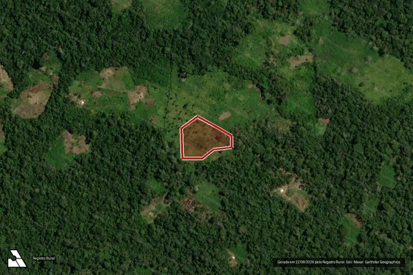 Imagem de satélite de Infração da Fauna em São Paulo - SP