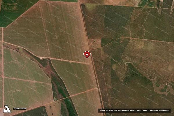 Imagem de satélite de Infração da Flora em Primavera do Leste - MT (marcador da localização)