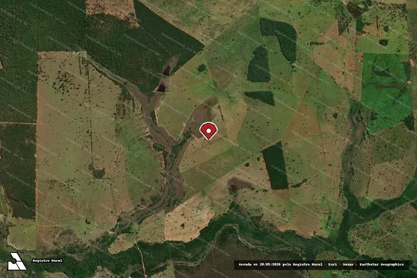 Imagem de satélite de Infração Ambiental em Selvíria - MS (marcador da localização)