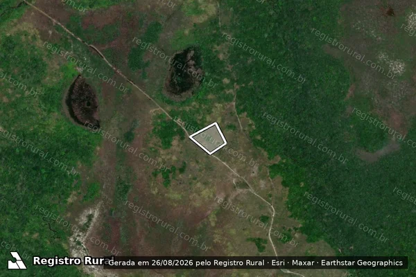 Imagem de satélite de Infração Ambiental em Caracaraí - RR
