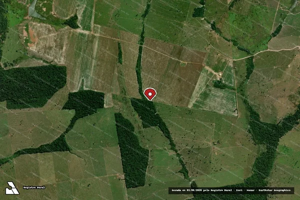 Imagem de satélite de Infração da Flora em Costa Marques - RO (marcador da localização)