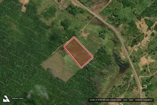 Imagem de satélite de Infração Ambiental em Caracaraí - RR