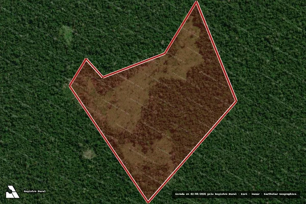 Imagem de satélite de Infração Ambiental em Boca do Acre - AM