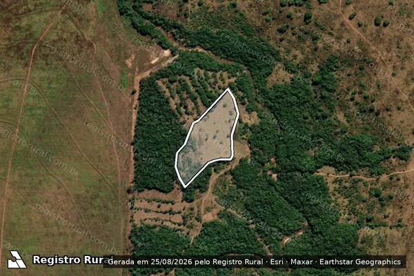 Imagem de satélite de Infração da Flora em Paraúna - GO
