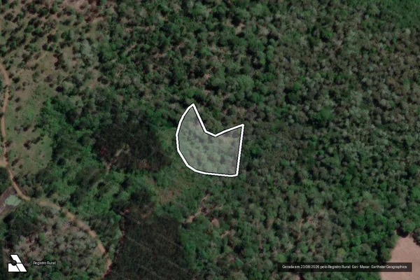 Imagem de satélite de Infração da Flora em Bituruna - PR