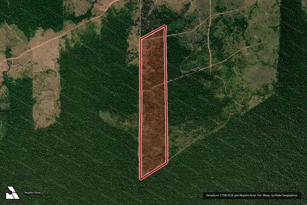 Imagem de satélite de Infração da Flora em Colniza - MT