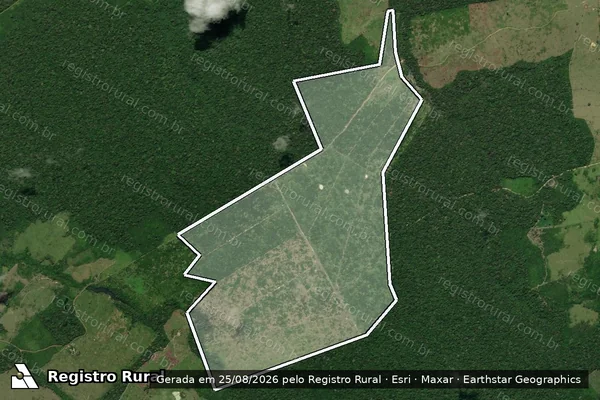 Imagem de satélite de Infração Ambiental em Senador José Porfírio - PA