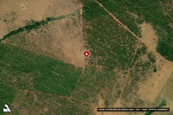 Imagem de satélite de Infração Ambiental em São Félix do Araguaia - MT (marcador da localização)