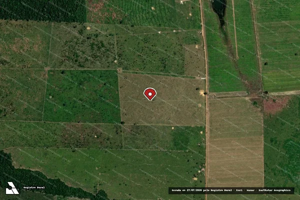 Imagem de satélite de Infração Ambiental em Porto Velho - RO (marcador da localização)