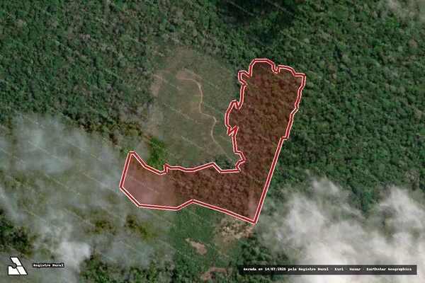 Imagem de satélite — Embargo IBAMA — Infração da Flora - Laranjal do Jari/AP