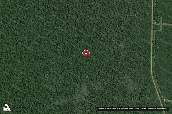 Imagem de satélite de Infração da Flora em Santarém - PA (marcador da localização)