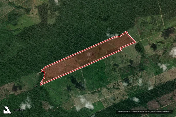 Imagem de satélite de Infração da Flora em Novo Progresso - PA