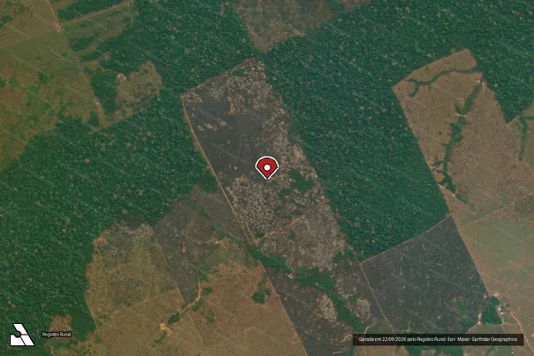 Imagem de satélite de Infração Ambiental em Lábrea - AM (marcador da localização)