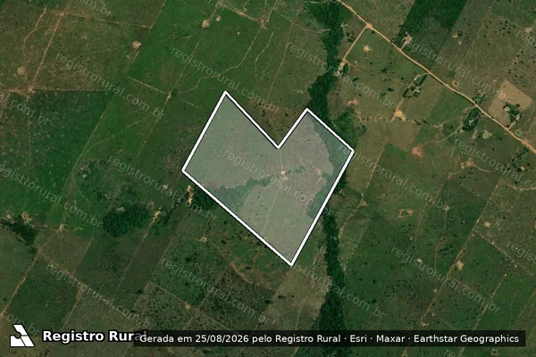 Imagem de satélite de Desmatamento em Porto Velho - RO