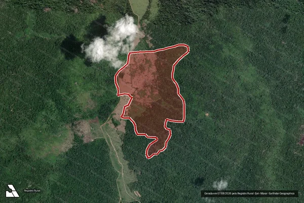 Imagem de satélite de Infração da Flora em Altamira - PA