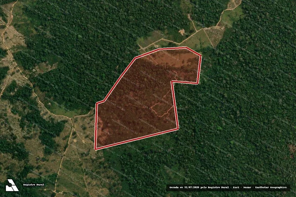 Imagem de satélite de Infração da Flora em Sena Madureira - AC