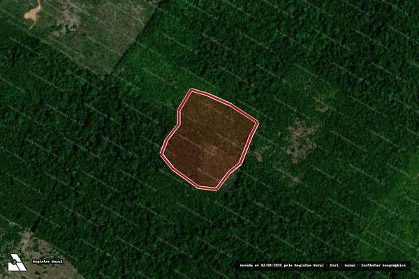 Imagem de satélite de Infração Ambiental em Bonfim - RR