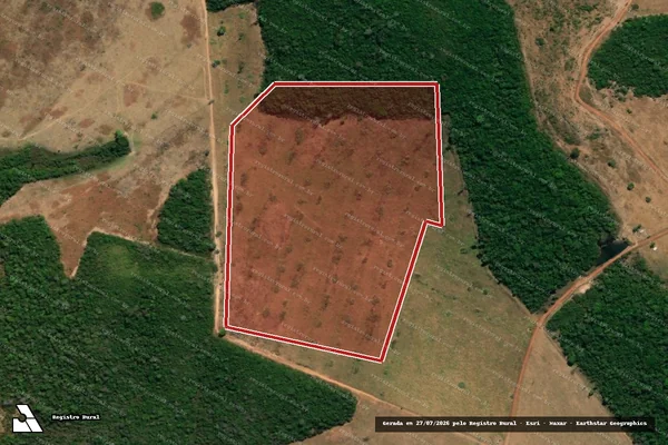 Imagem de satélite — Embargo IBAMA — Infração da Flora - Sinop/MT