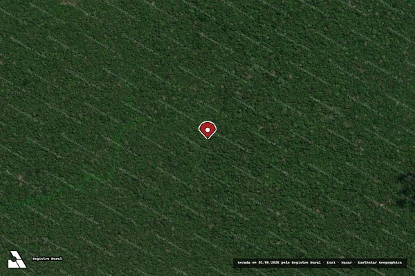 Imagem de satélite de Infração Ambiental em Manicoré - AM (marcador da localização)