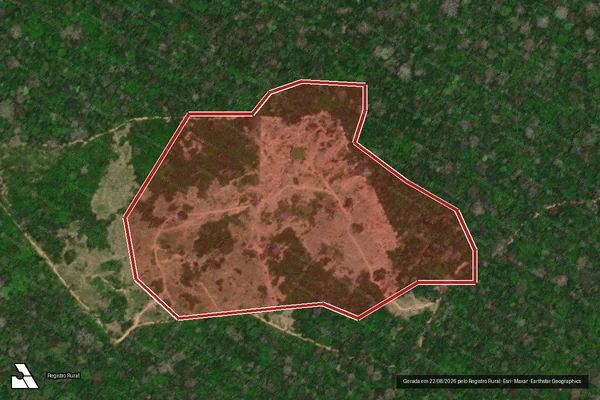 Imagem de satélite de Desmatamento em Boca do Acre - AM