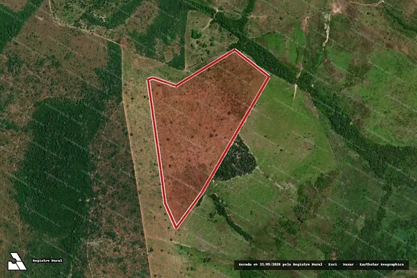 Imagem de satélite — Embargo IBAMA — Infração da Flora - Araguatins/TO