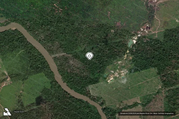 Imagem de satélite de Infração Ambiental em Novo Progresso - PA (marcador da localização)