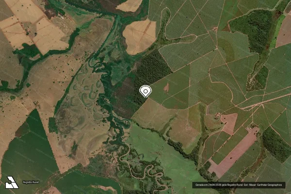Imagem de satélite de Infração da Fauna em Vitória - ES (marcador da localização)