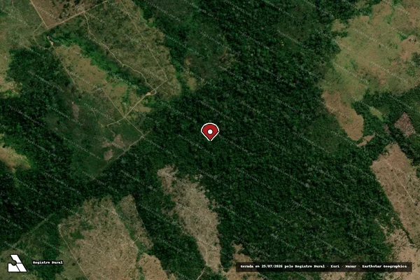 Imagem de satélite — Embargo IBAMA — Infração da Flora - Aripuanã/MT