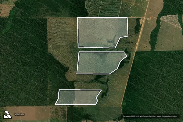 Imagem de satélite de Infração da Flora em Colniza - MT
