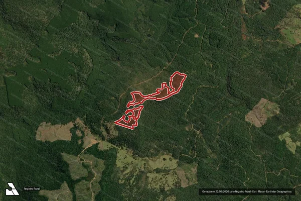 Imagem de satélite de Infração da Flora em Lebon Régis - SC