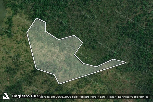 Imagem de satélite de Infração da Flora em Altamira - PA