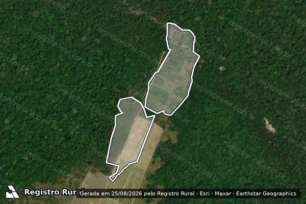 Imagem de satélite — Embargo IBAMA — Infração da Flora — Itacoatiara/AM