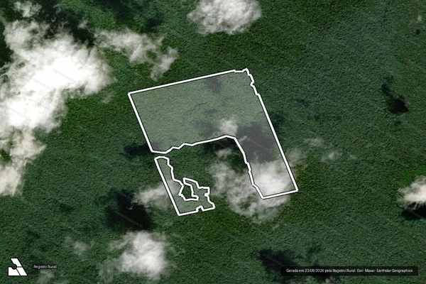 Imagem de satélite — Embargo IBAMA — Infração da Flora - Portel/PA