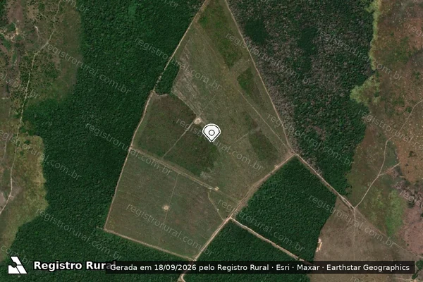 Imagem de satélite — Embargo IBAMA — Infração Ambiental - Porto Velho/RO